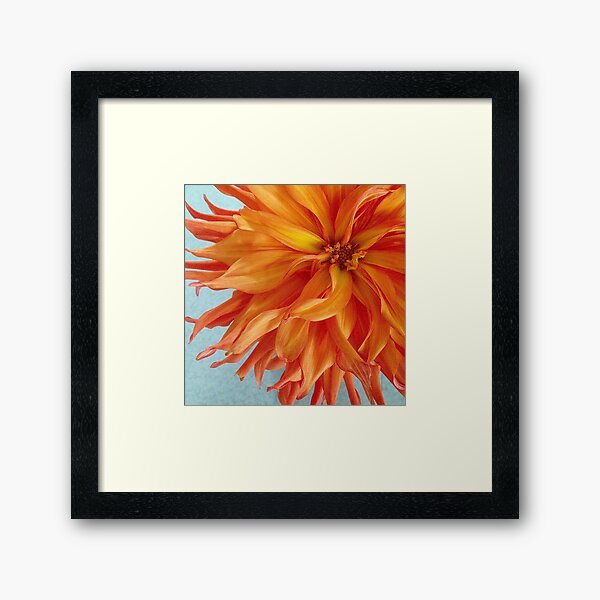 Item preview, Orange Dahlia designed and sold by Rachel Imsland.