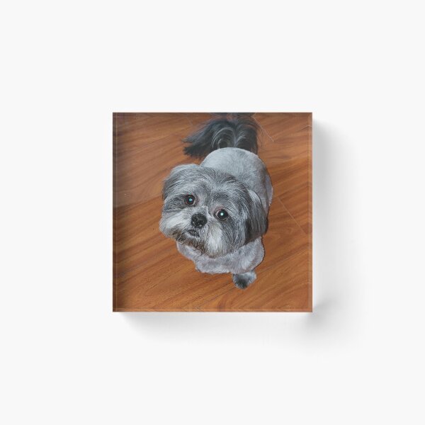 Item preview, Silver Backed Shih Tzu designed and sold by Brenda Burnett.
