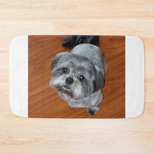 Item preview, Silver Backed Shih Tzu designed and sold by Brenda Burnett.