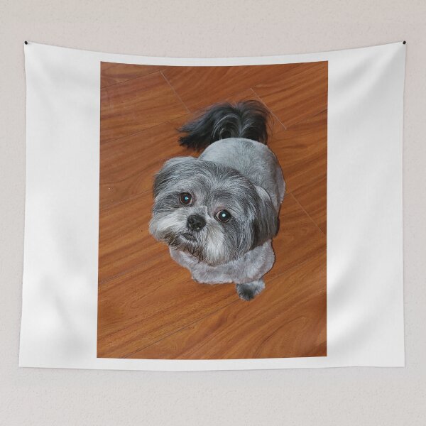 Item preview, Silver Backed Shih Tzu designed and sold by Brenda Burnett.