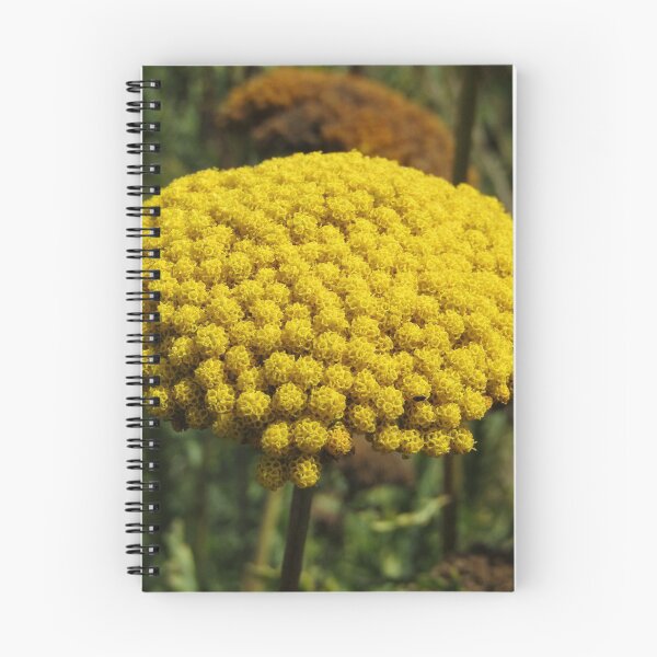 Item preview, yellow magnificence designed and sold by Floralynne.
