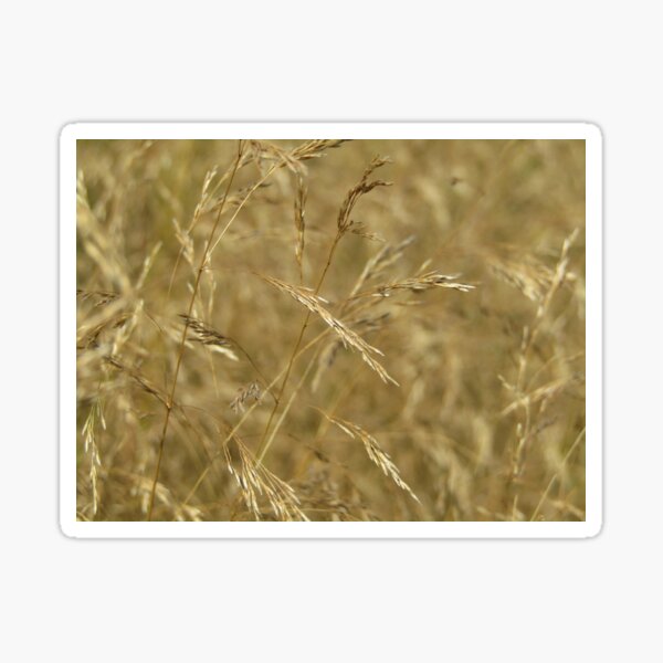 Item preview, grassy designed and sold by Floralynne.