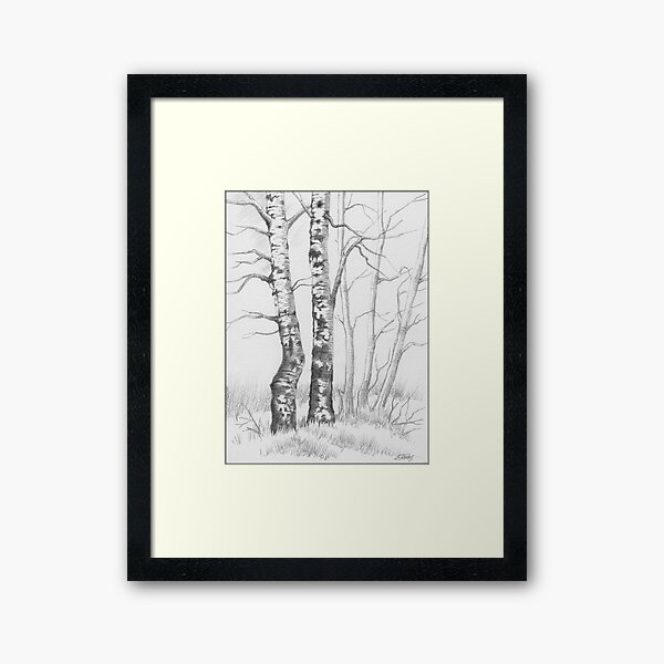 BIRCH TREE 01 Framed Art Print
