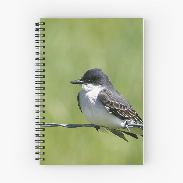 Item preview, Eastern Kingbird designed and sold by Enola Gay Wagner.