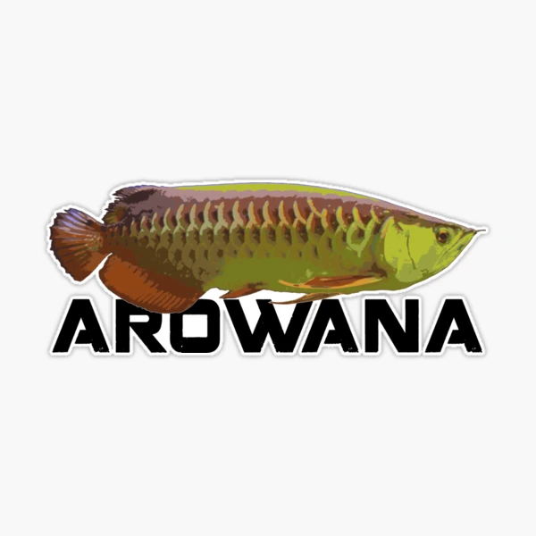 Monster Fish Keeper Asian Arowana Tropical Fish Sticker for Sale by JRRTs