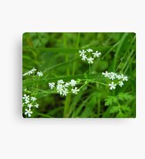 Duotone Canvas Print