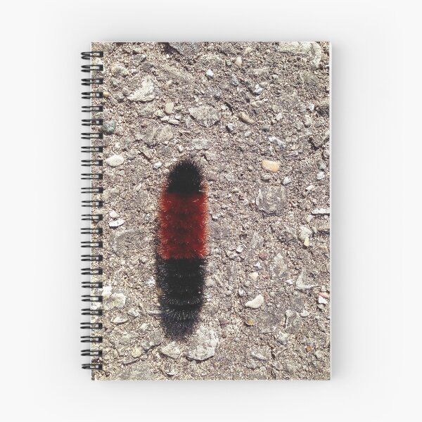Item preview, Wooly Bear Caterpillar designed and sold by Rachel Imsland.