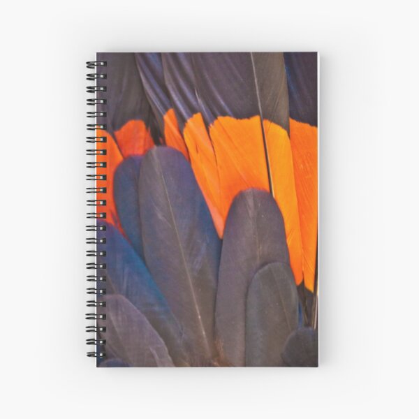 Red Tailed Black Cockatoo Feathers Spiral Notebook