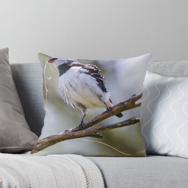 Item preview, Diamond Firetail designed and sold by inthewild.