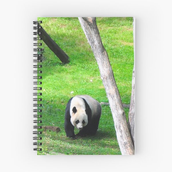 Item preview, Giant Panda - Mei Xiang  designed and sold by dbernadette930.