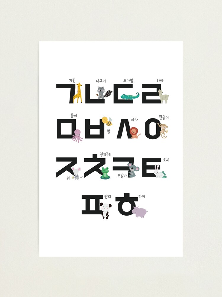 korean alphabet learning hangul handdrawn animal
