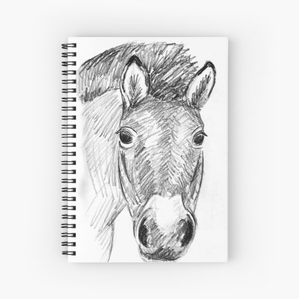 Aperçu de l'œuvre Le croquis du cheval de Przewalski créée et vendue par mindgoop.