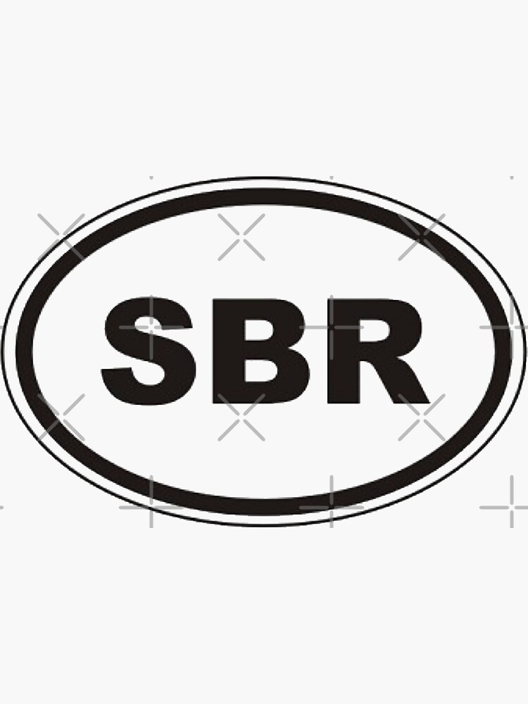 CafePress Sober Chicks Rule Oval Bumper Sticker - 3x5 Inch Vinyl Car Decal, Window Or Fridge Sticker