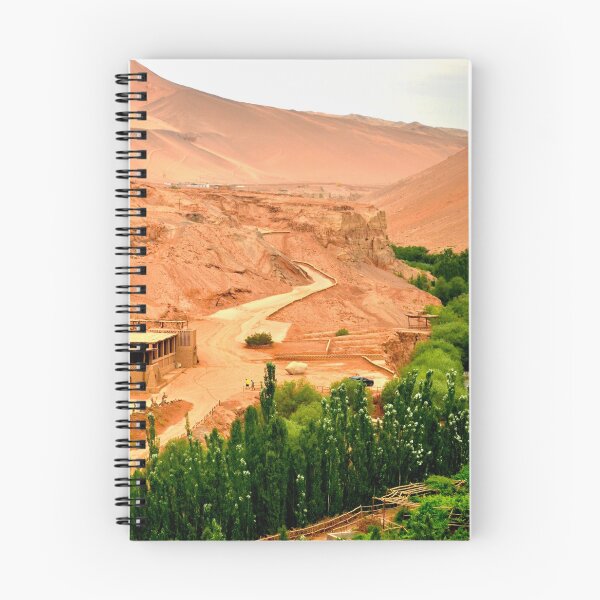 Item preview, Oasis in the Desert designed and sold by joeljhage.