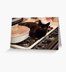Guess Who's Coming for Dinner !! Greeting Card