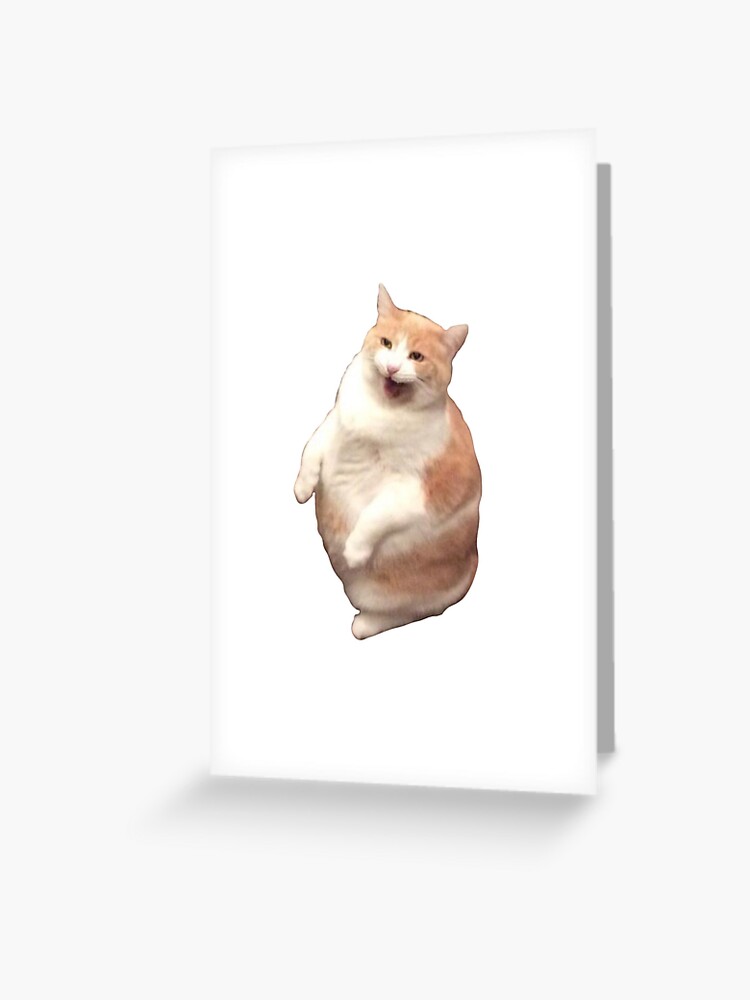 Chungus Among Us Fat Cat Meme Sticker Sheet Chonky Cat Meme 
