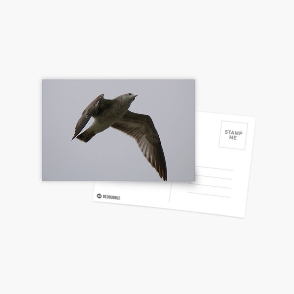 Item preview, Gull designed and sold by Paulette1021.