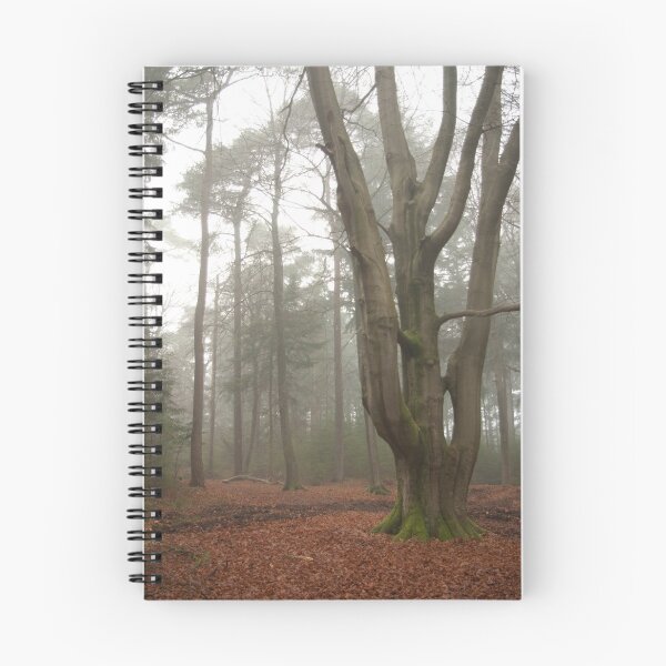 Item preview, As if sculptured - Beech tree designed and sold by steppeland.