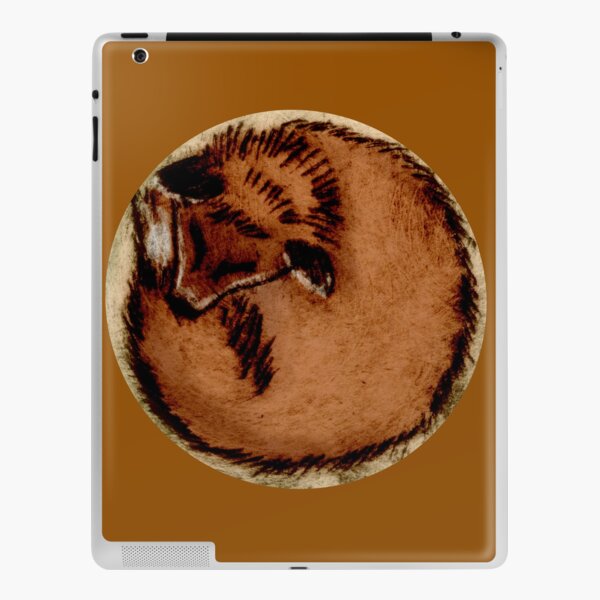 Sleeping Fox iPad Skin