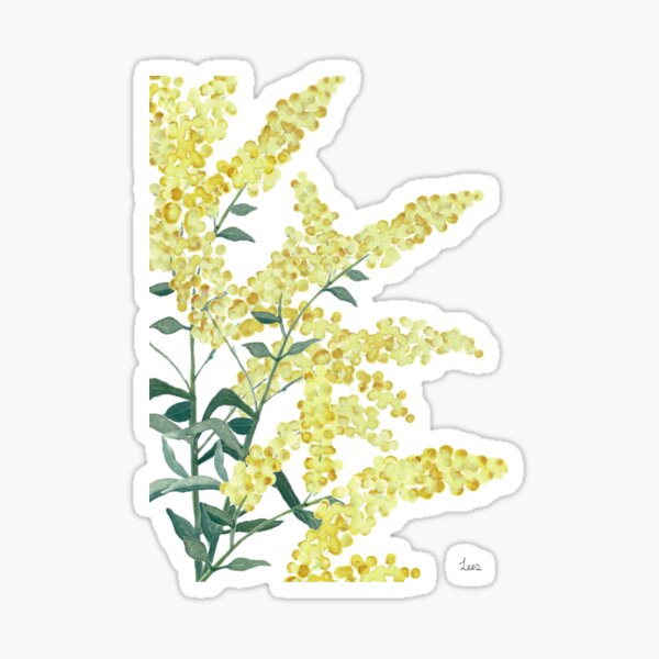 Item preview, Wattle branch designed and sold by Artbylees.