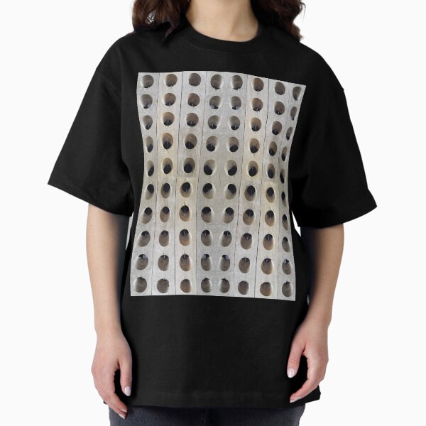 Riddling Rack  - by South Australian artist Avril Thomas at Magpie Springs Oversized T-Shirt