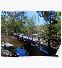 footbridge over billabong Poster