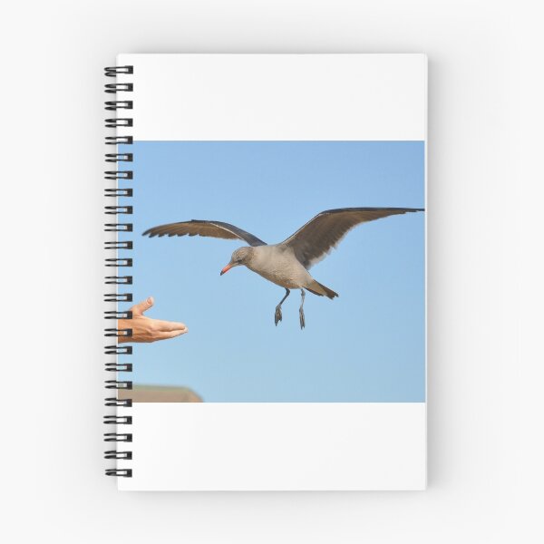 Item preview, Reaching out designed and sold by pdsfotoart.