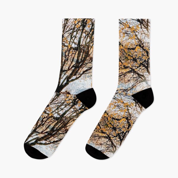 Item preview, Autumn Blaze upon the Lake designed and sold by mn-imagerie.