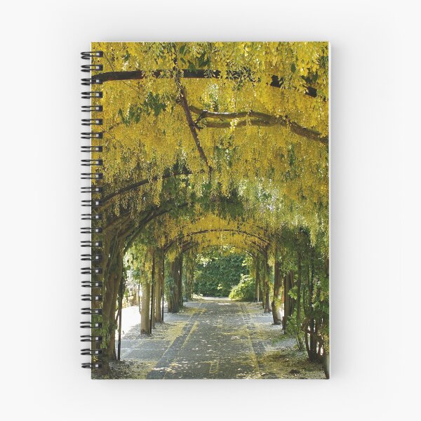 Item preview, Laburnum Arch designed and sold by AnnDixon.