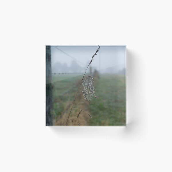 Item preview, Perfect little Cobweb designed and sold by Clare Colins.