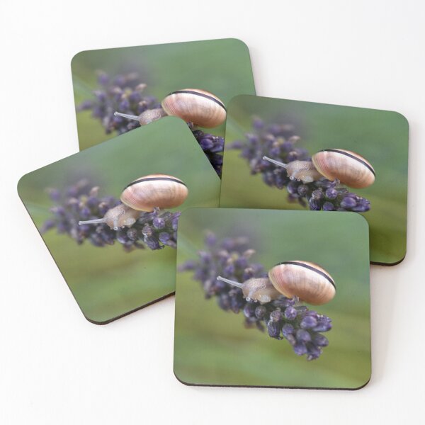 Item preview, Garden Snail on Lavender Flower designed and sold by Chris Monks.