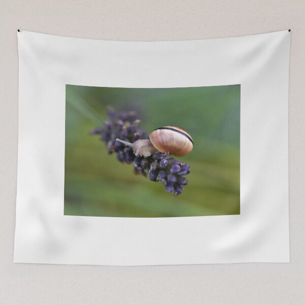 Item preview, Garden Snail on Lavender Flower designed and sold by Chris Monks.