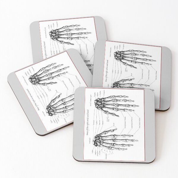 Item preview, The bones of the human right wrist and hand. designed and sold by Squirrox.