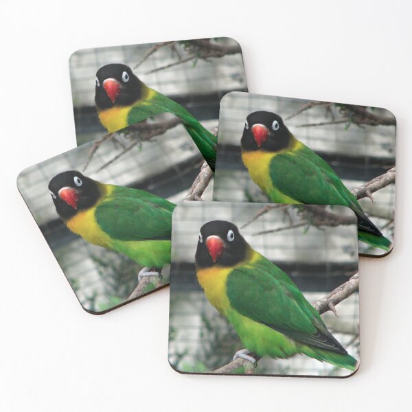Item preview, Black Masked Lovebird designed and sold by Sharon Perrett.