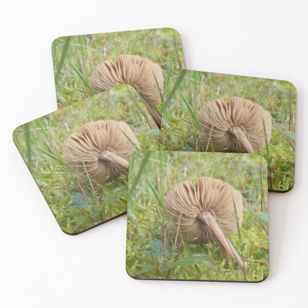 Item preview, The Underside designed and sold by Martha Medford.