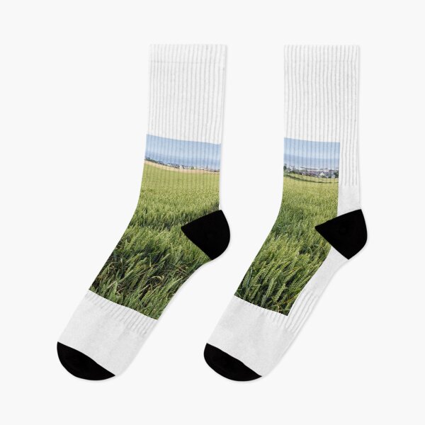 Item preview, Castlerock Wheat designed and sold by Nigel R Bell Photography.