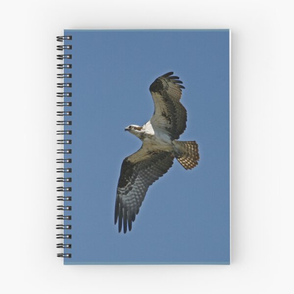 Item preview, Osprey designed and sold by Enola Gay Wagner.