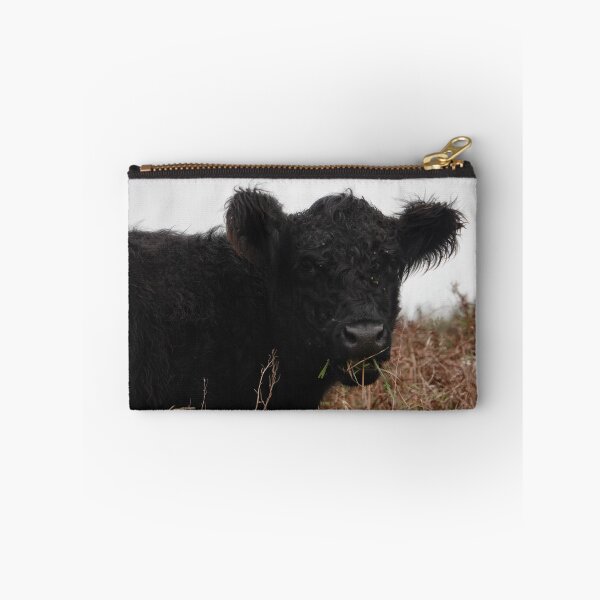 Item preview, Black cow chewing grass designed and sold by frogs123.