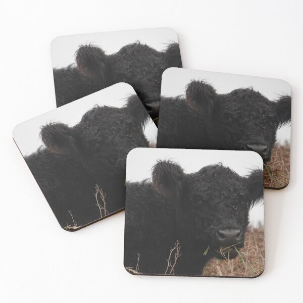 Item preview, Black cow chewing grass designed and sold by frogs123.