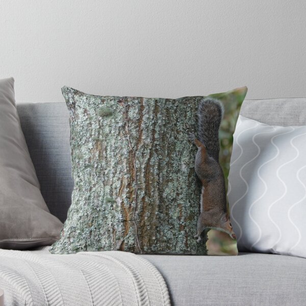 Item preview, Squirrel on the vertical  designed and sold by frogs123.