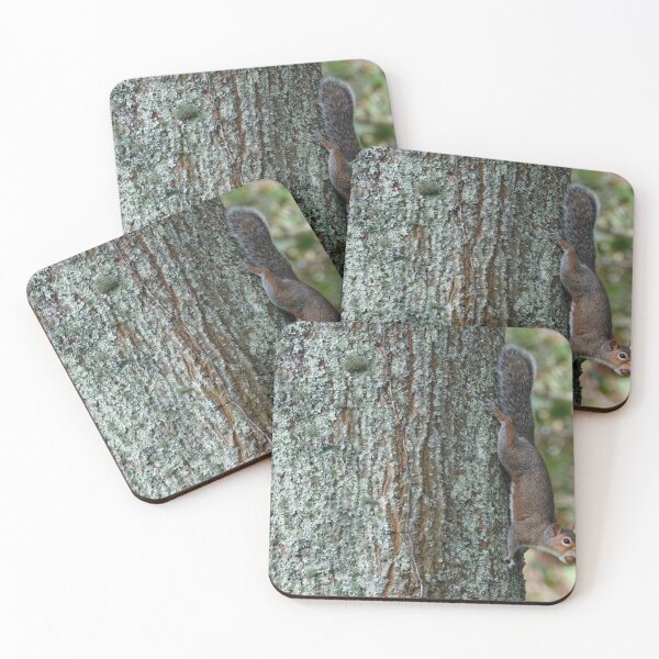 Item preview, Squirrel on the vertical  designed and sold by frogs123.