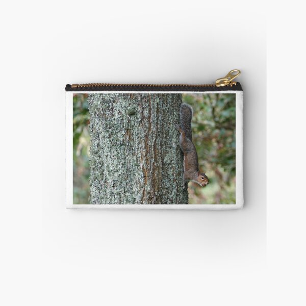 Item preview, Squirrel on the vertical  designed and sold by frogs123.