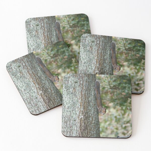 Item preview, Squirrel eats nut designed and sold by frogs123.