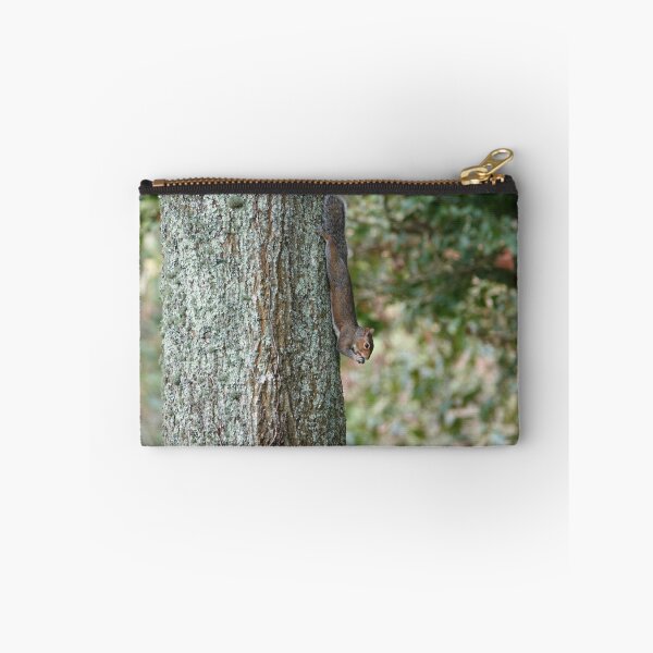 Item preview, Squirrel eats nut designed and sold by frogs123.