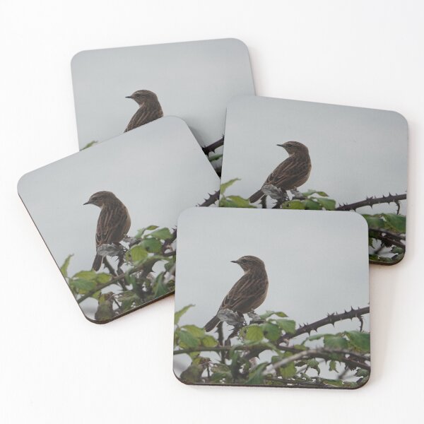 Item preview, Bird on a thorny perch designed and sold by frogs123.