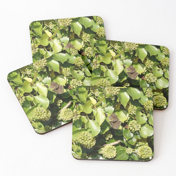 Item preview, speckled wood butterlies on Ivy designed and sold by frogs123.