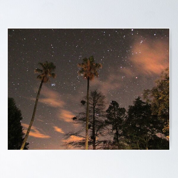 New Year's Sky Poster