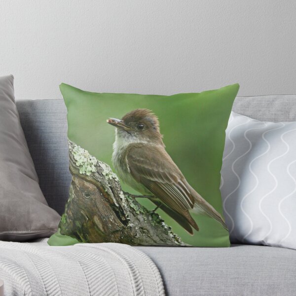 Item preview, Eastern Phoebe designed and sold by Enola Gay Wagner.