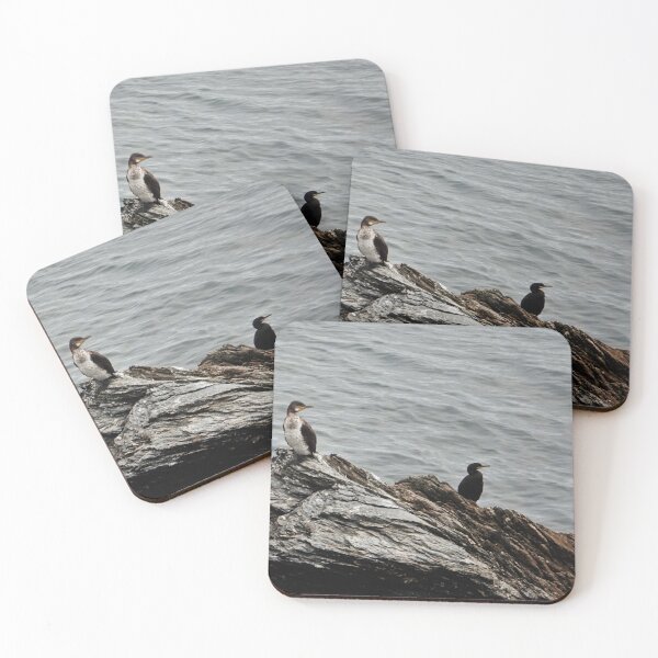 Item preview, Cormorants designed and sold by frogs123.