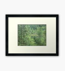 Grace Lake Framed Print